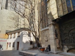 Die Linde bei St. Stephan
